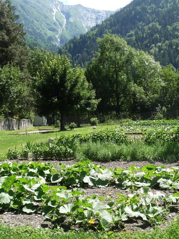 Chateau De La Muzelle Vénosc Esterno foto